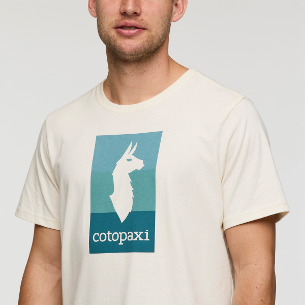 Llama Block T-Shirt - Men's - Image 5