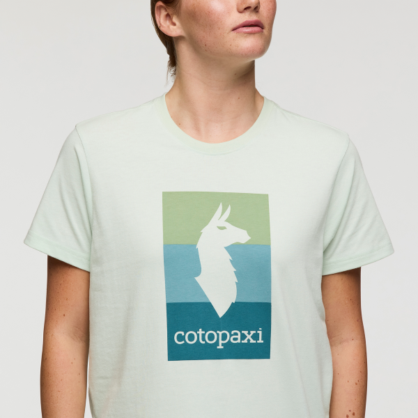 Llama Block T-Shirt - Women's - Image 15